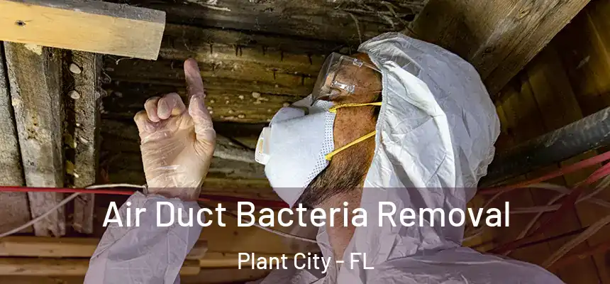 Air Duct Bacteria Removal Plant City - FL