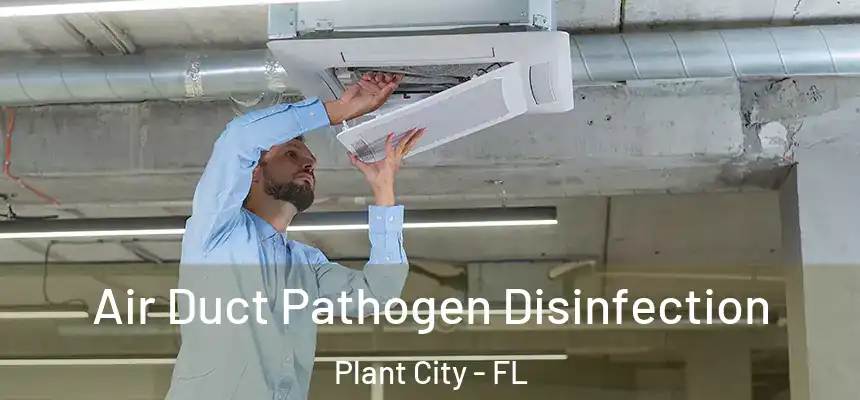 Air Duct Pathogen Disinfection Plant City - FL