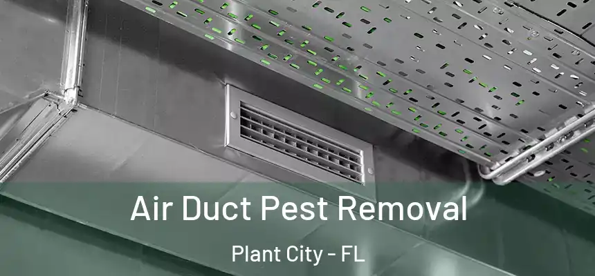 Air Duct Pest Removal Plant City - FL