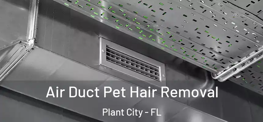 Air Duct Pet Hair Removal Plant City - FL