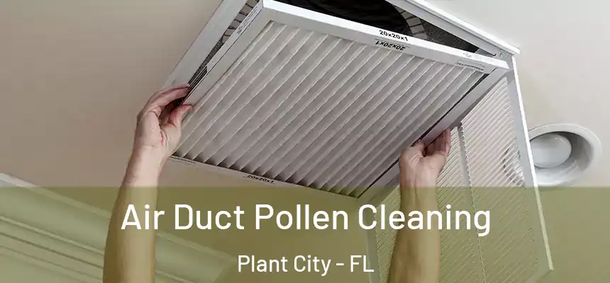 Air Duct Pollen Cleaning Plant City - FL
