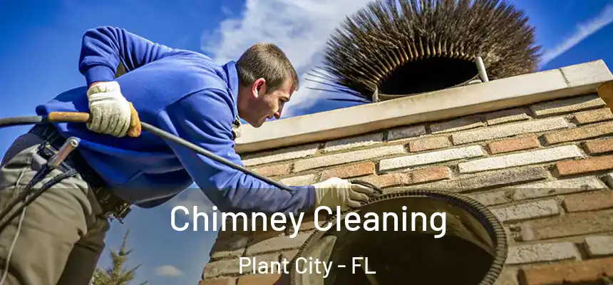 Chimney Cleaning Plant City - FL