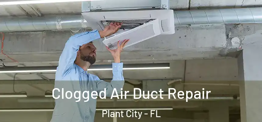 Clogged Air Duct Repair Plant City - FL