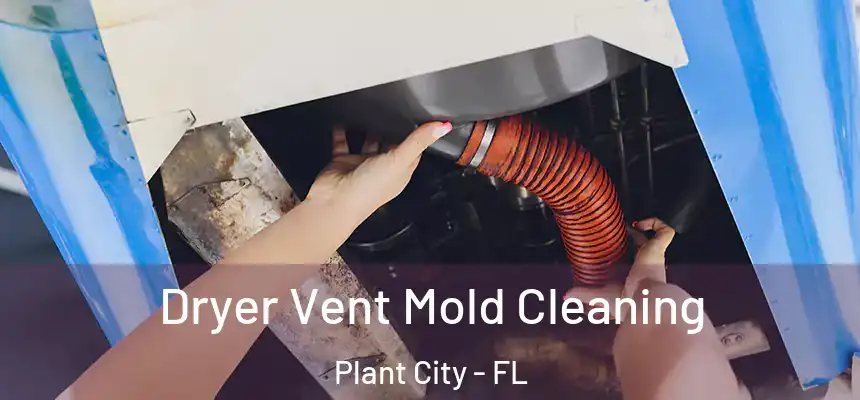  Dryer Vent Mold Cleaning Plant City - FL