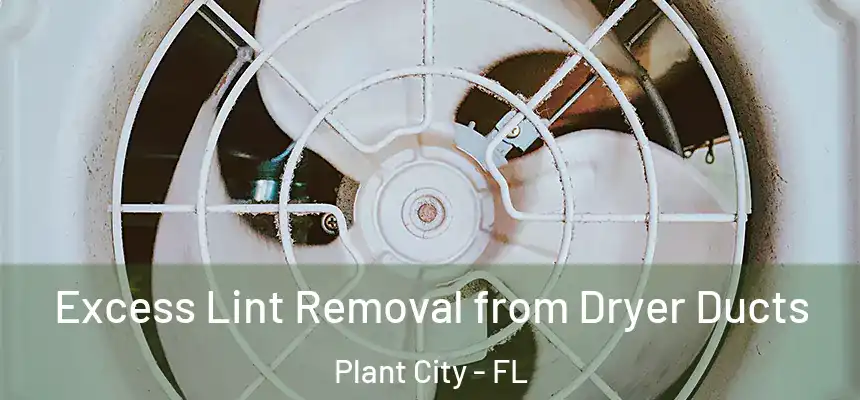 Excess Lint Removal from Dryer Ducts Plant City - FL