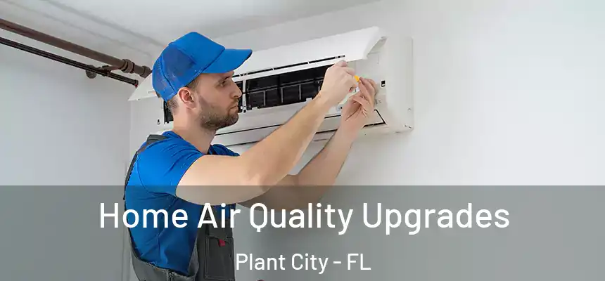 Home Air Quality Upgrades Plant City - FL