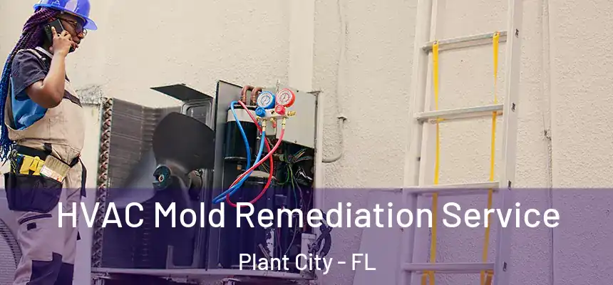  HVAC Mold Remediation Service Plant City - FL