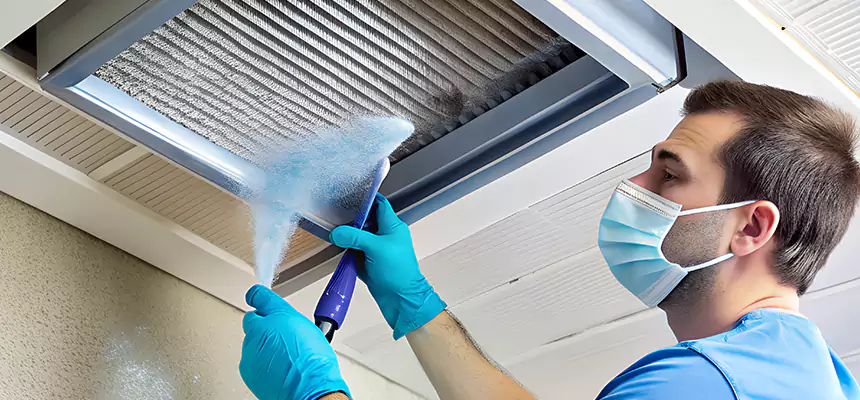 Proactive Dryer Vent & Auxiliary Duct Pollen Cleanup in Plant City, FL