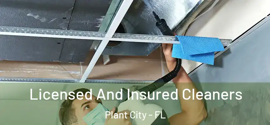  Licensed And Insured Cleaners Plant City - FL