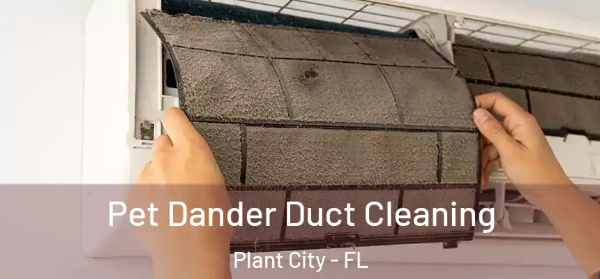  Pet Dander Duct Cleaning Plant City - FL