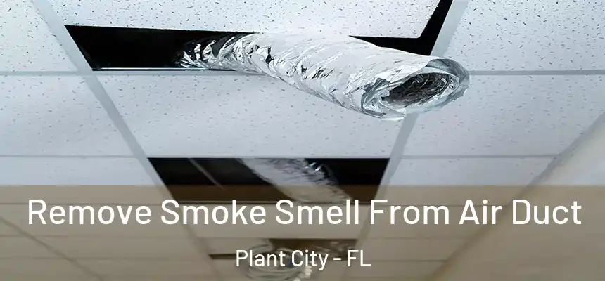 Remove Smoke Smell From Air Duct Plant City - FL