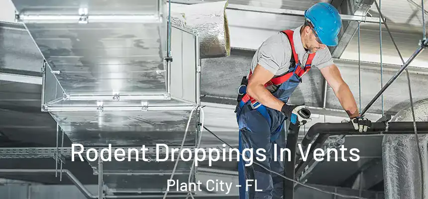 Rodent Droppings In Vents Plant City - FL