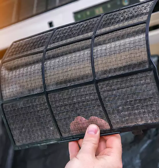 About Pet Dander Duct Cleaning in Plant City, FL
