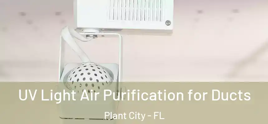 UV Light Air Purification for Ducts Plant City - FL